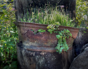 Dads rusty Pot